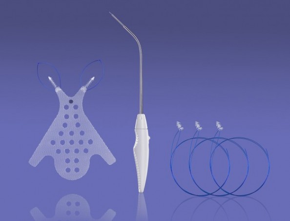 Aumentar Perfecto extraño Crean prótesis para el tratamiento quirúrgico del prolapso uterino